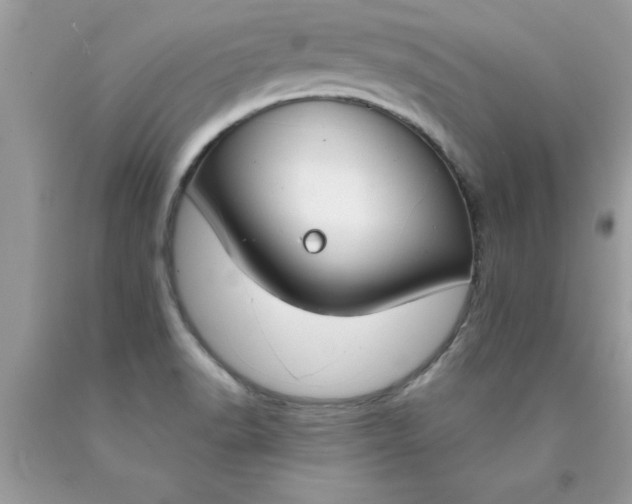X0000090461518200707272226