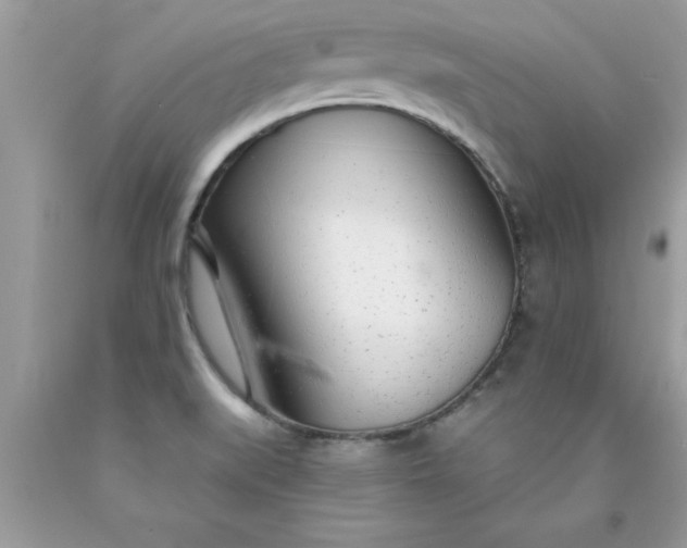 X0000090461519200707272226