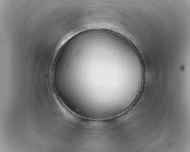 X0000090461521200707272226
