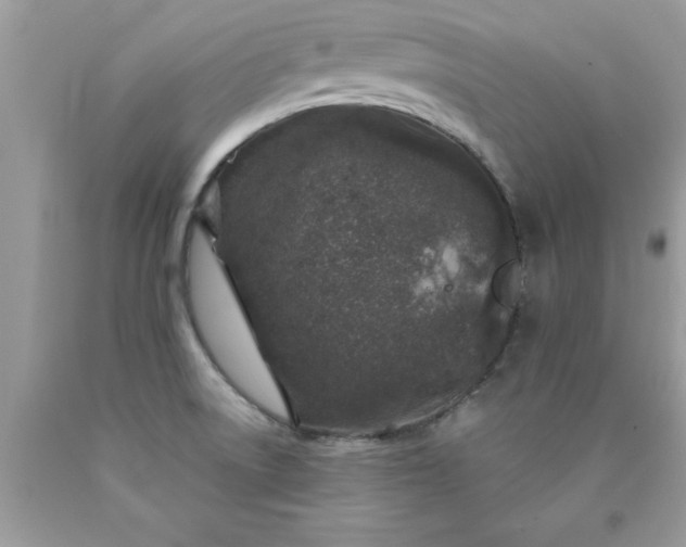 X0000090461522200707272226