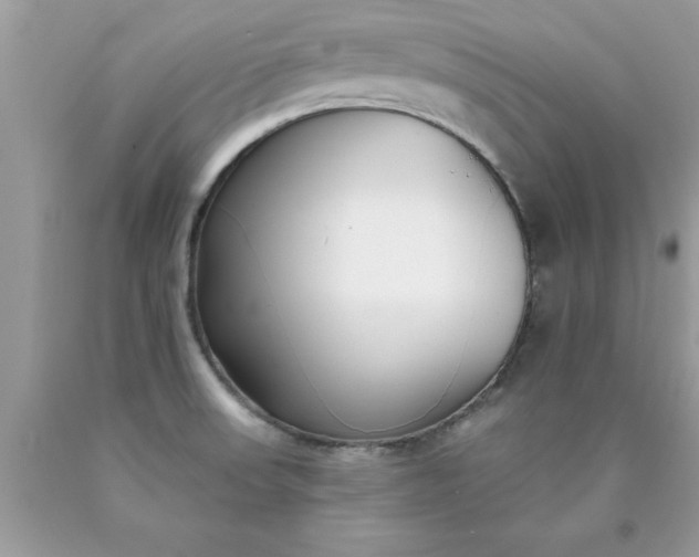 X0000090461523200707272226
