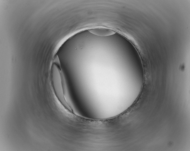 X0000090461524200707272226