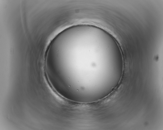 X0000090461525200707272226