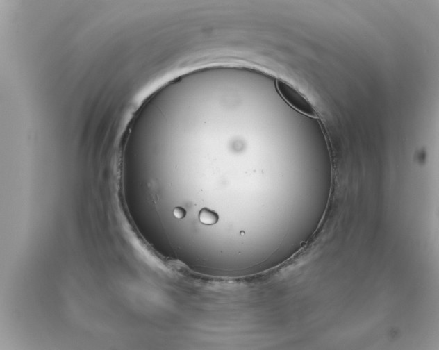 X0000090461526200707272226