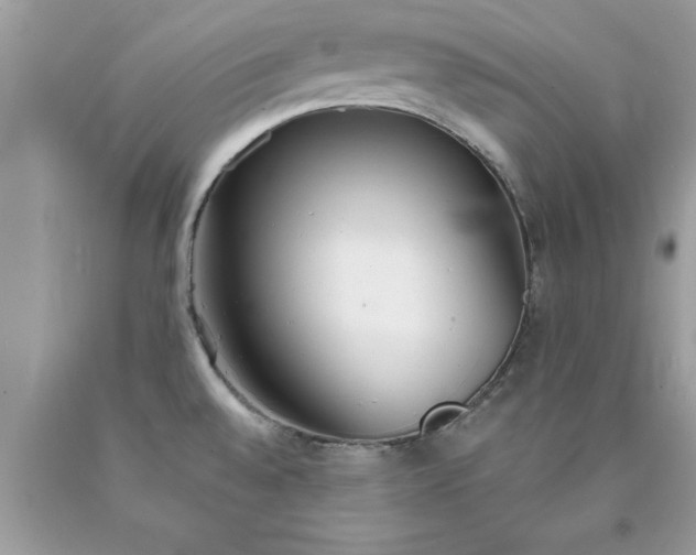 X0000090461528200707272226