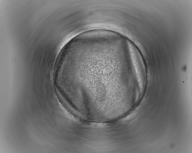 X0000090461529200707272226