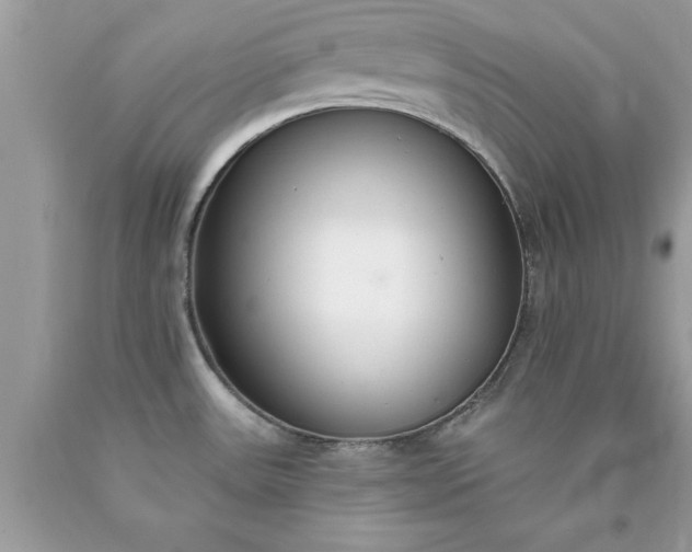 X0000090461531200707272226