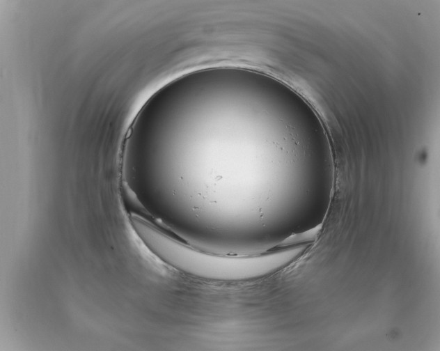 X0000090461532200707272226