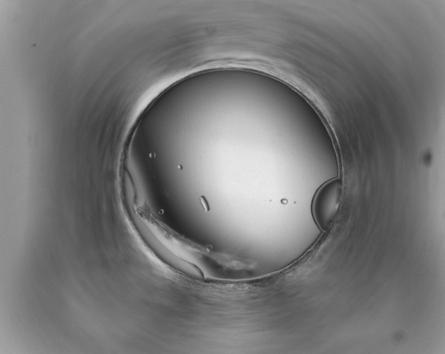 X0000090461533200707272226
