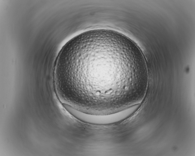 X0000090461534200707272226