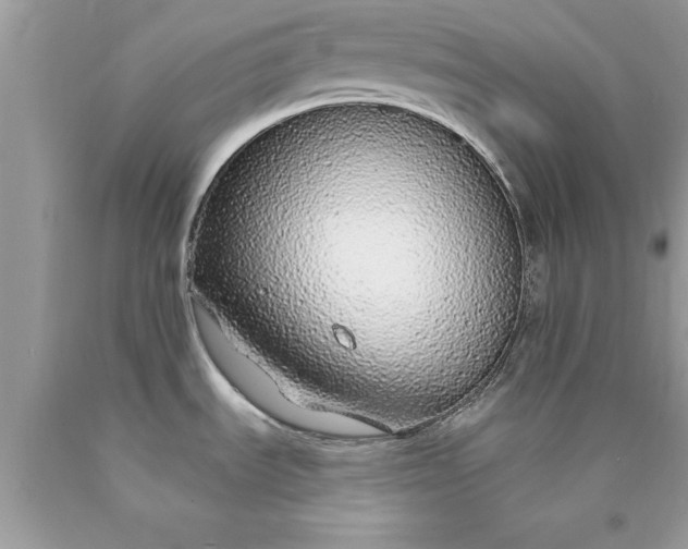 X0000090461535200707272226
