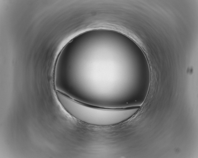 X0000090461536200707272226