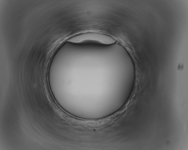 X0000090460001200708031252