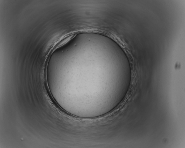X0000090460002200708031252