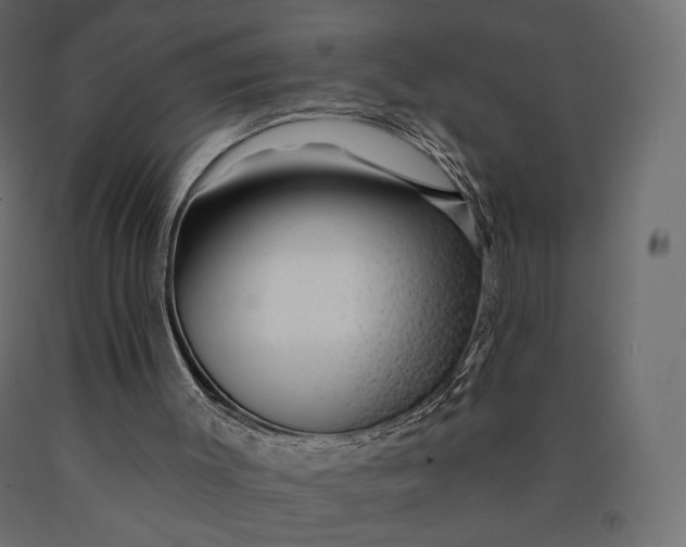 X0000090460003200708031252