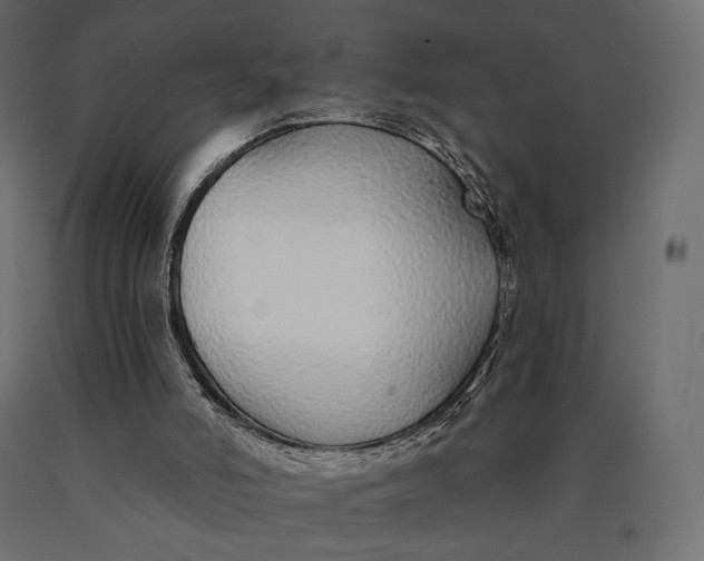 X0000090460006200708031252