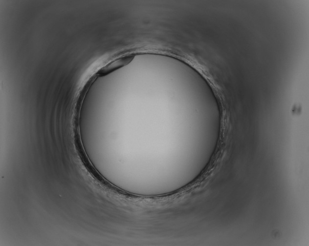 X0000090460007200708031252