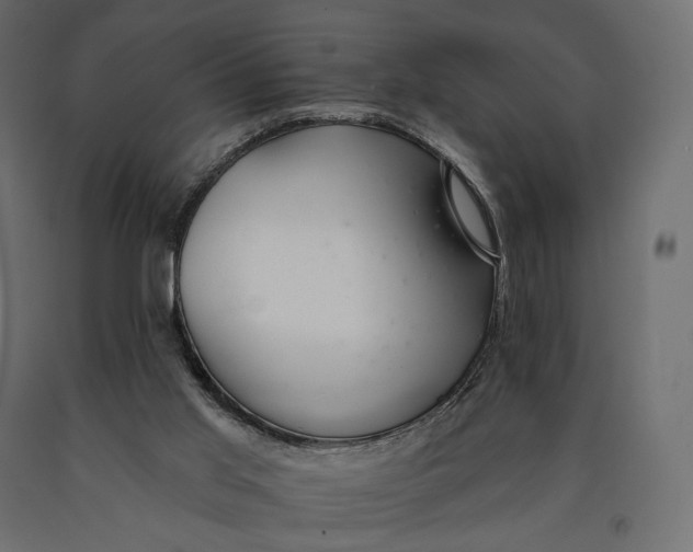 X0000090460013200708031252