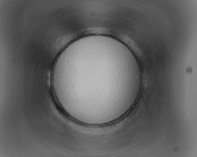 X0000090460014200708031252