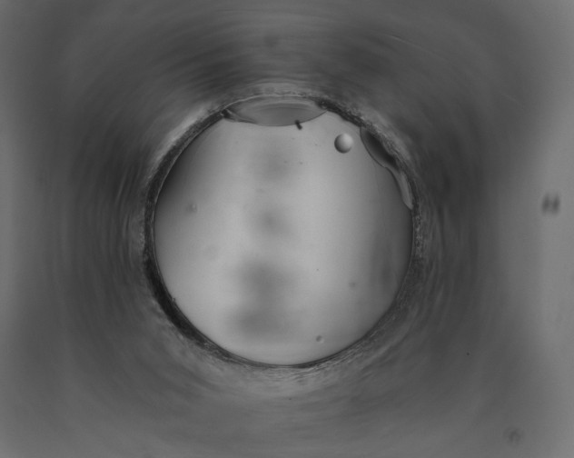X0000090460015200708031252
