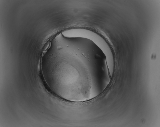 X0000090460019200708031252