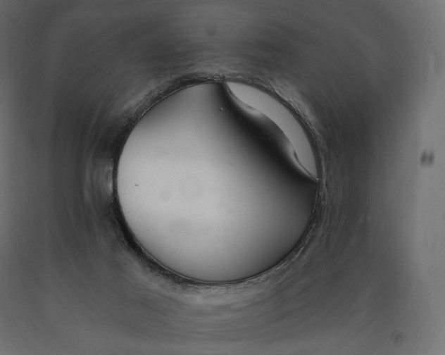 X0000090460021200708031252