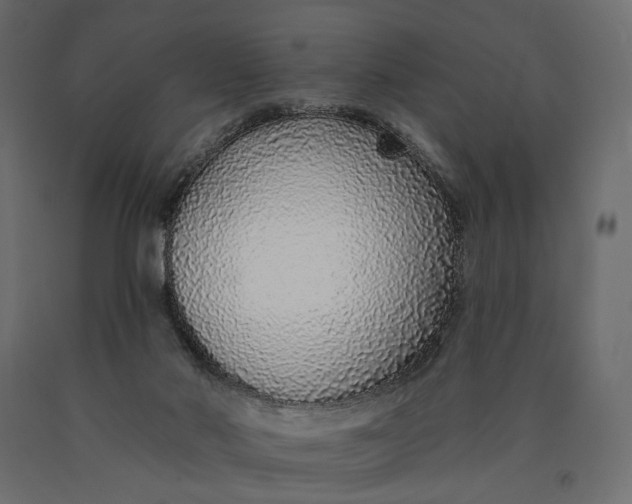 X0000090460022200708031252