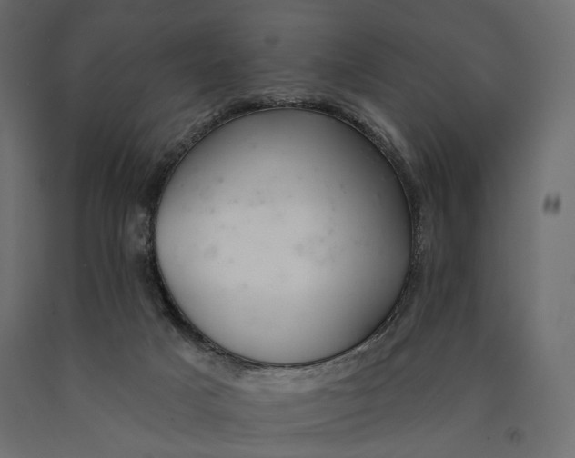 X0000090460025200708031252