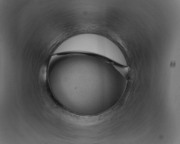 X0000090460027200708031252