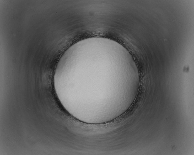 X0000090460030200708031252