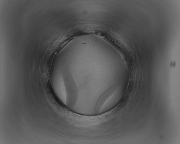 X0000090460031200708031252