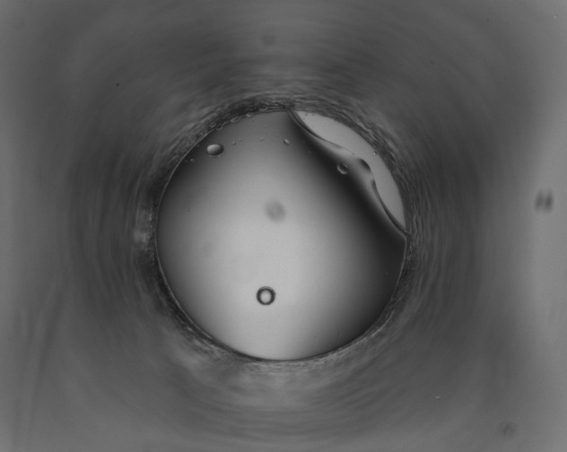 X0000090460033200708031252