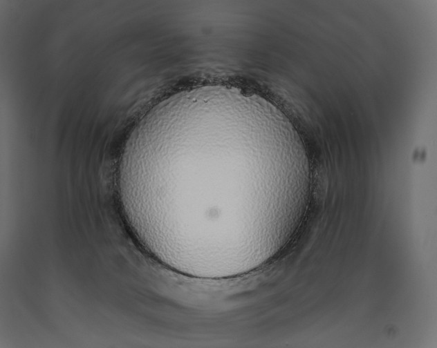 X0000090460034200708031252