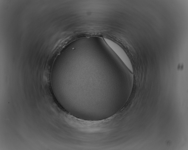 X0000090460035200708031251