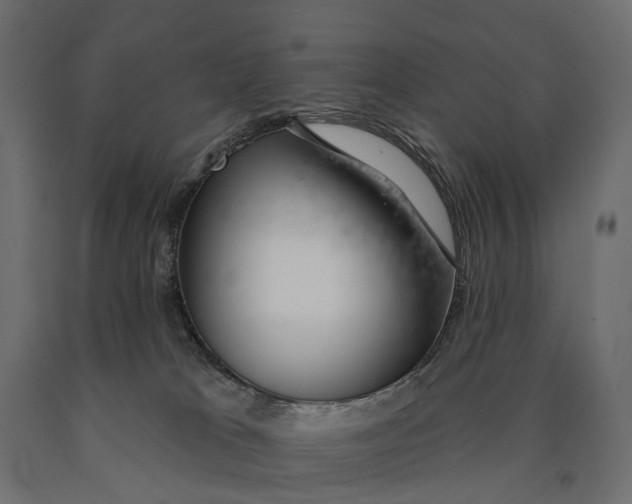 X0000090460037200708031251