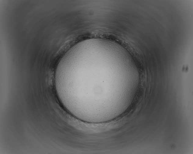 X0000090460038200708031251
