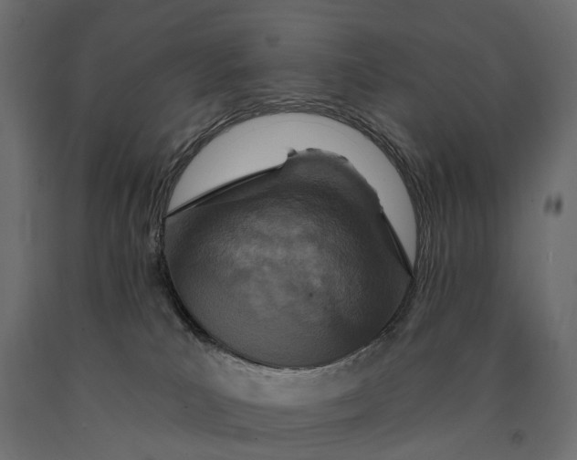 X0000090460039200708031251