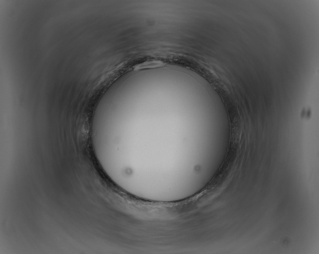 X0000090460040200708031251