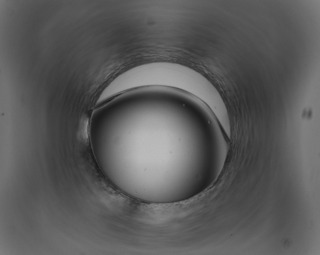 X0000090460041200708031251