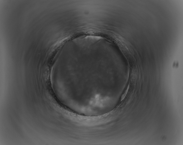 X0000090460043200708031251