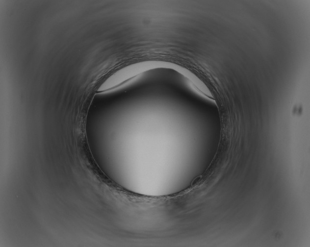 X0000090460044200708031251