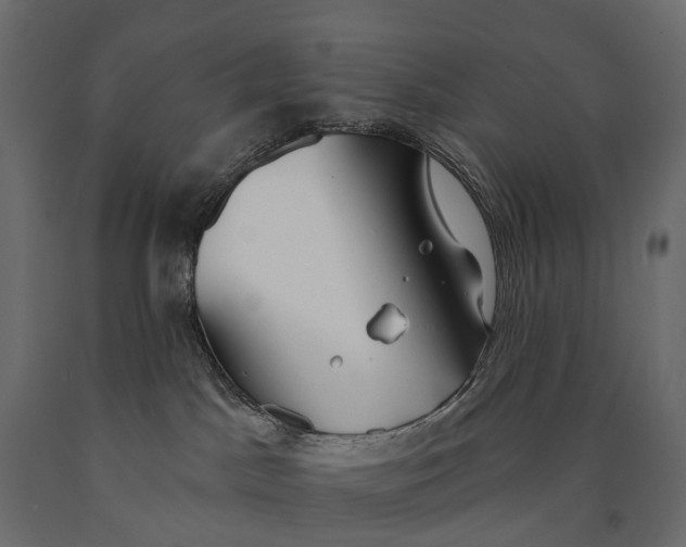 X0000090460045200708031251