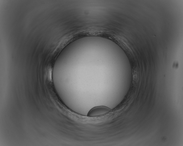 X0000090460046200708031251