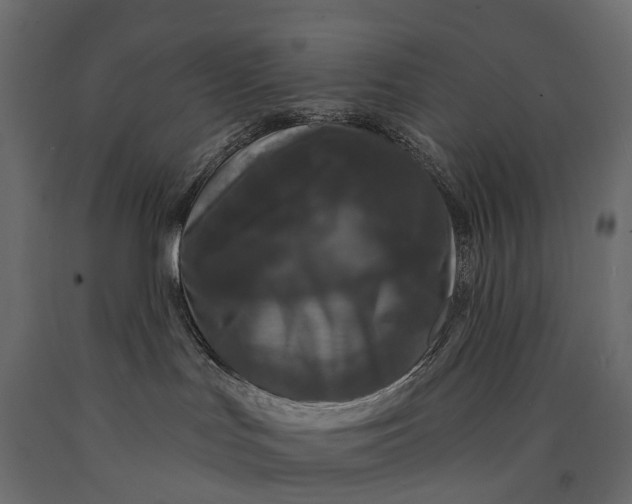 X0000090460047200708031251