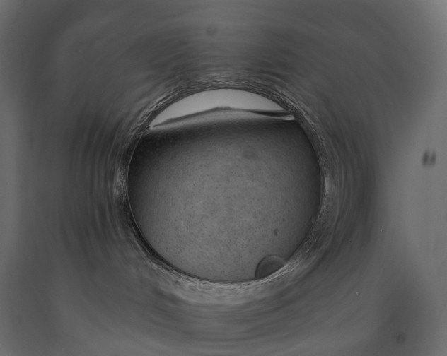X0000090460048200708031251