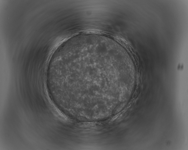 X0000090460049200708031250