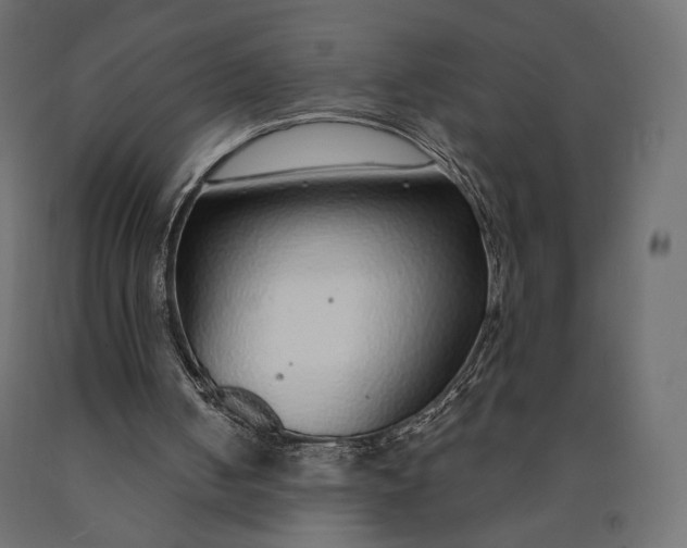 X0000090460050200708031250