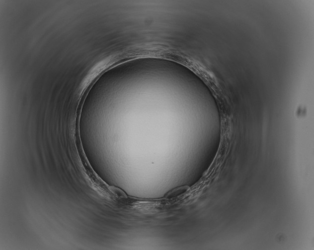 X0000090460051200708031250
