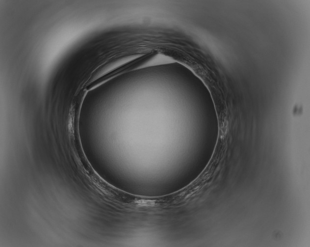 X0000090460052200708031250