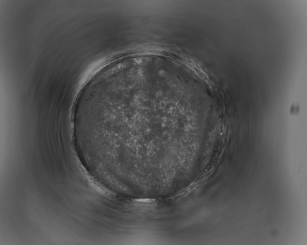 X0000090460053200708031250
